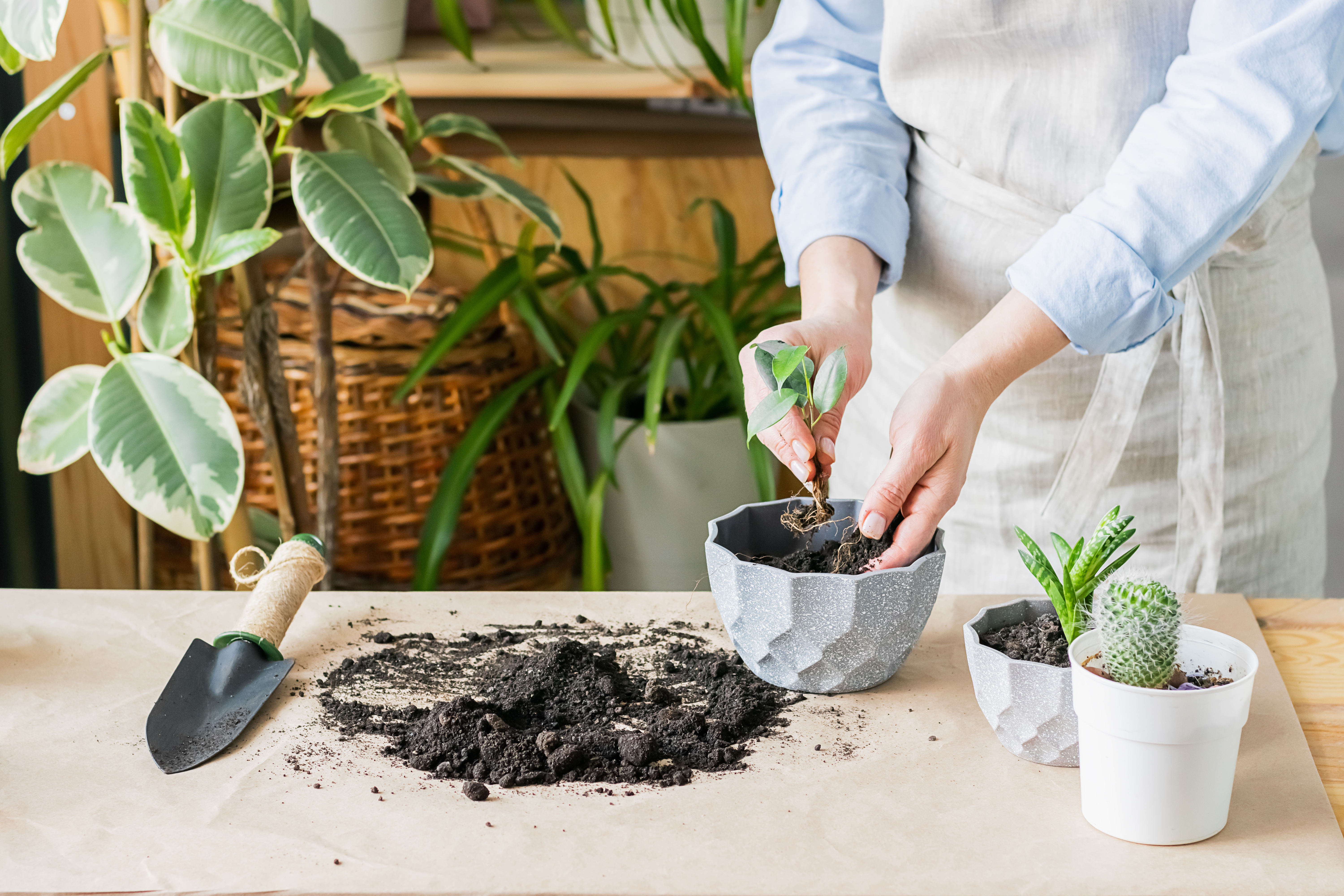How to Prepare a Pot for Planting