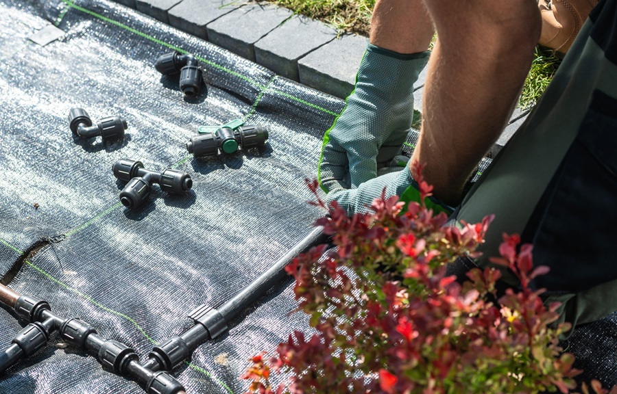 Installing a drip irrigation system in an Arizona garden