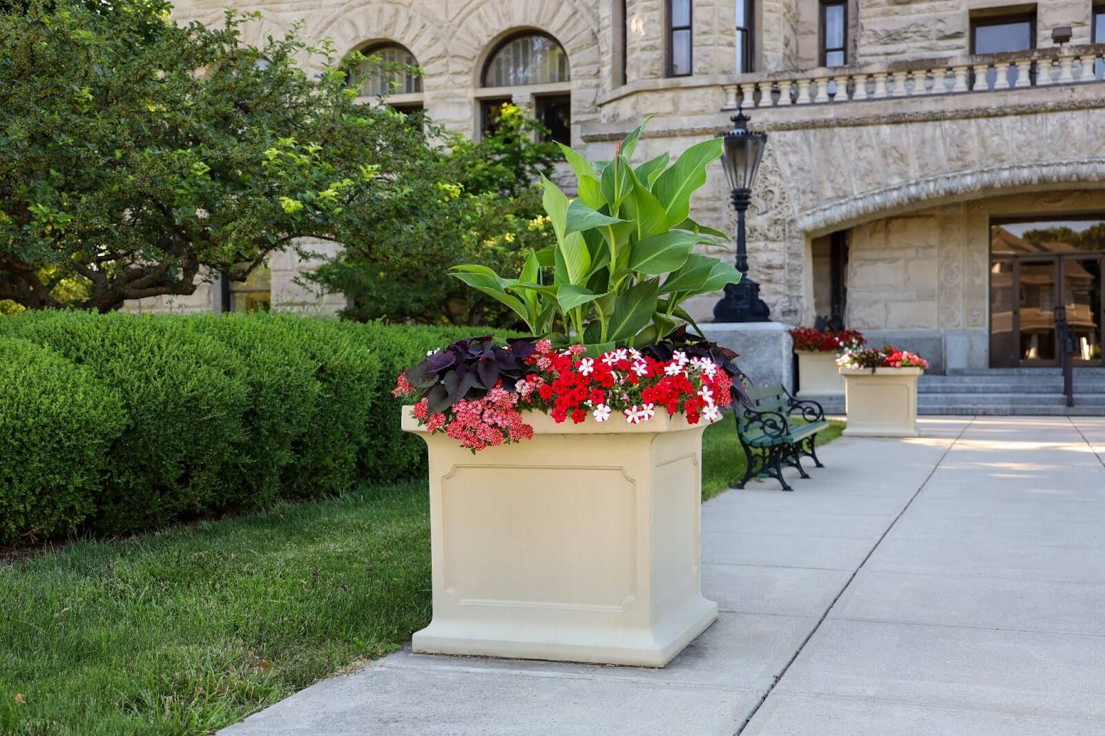 Architectural planter in a public space