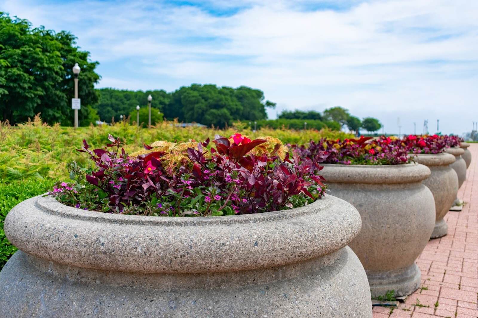 Architectural planters in the park