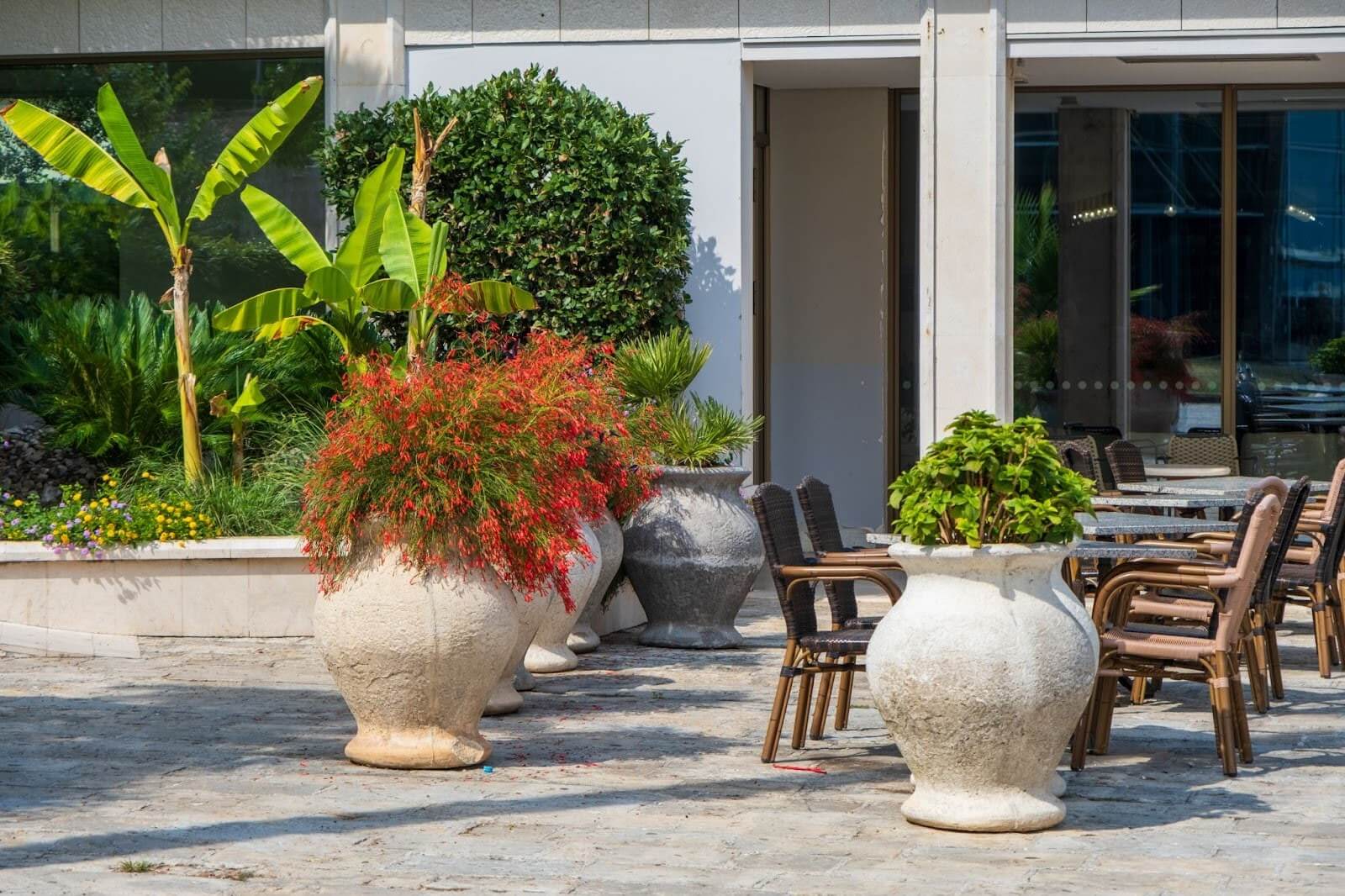 Architectural planters on an outdoor patio