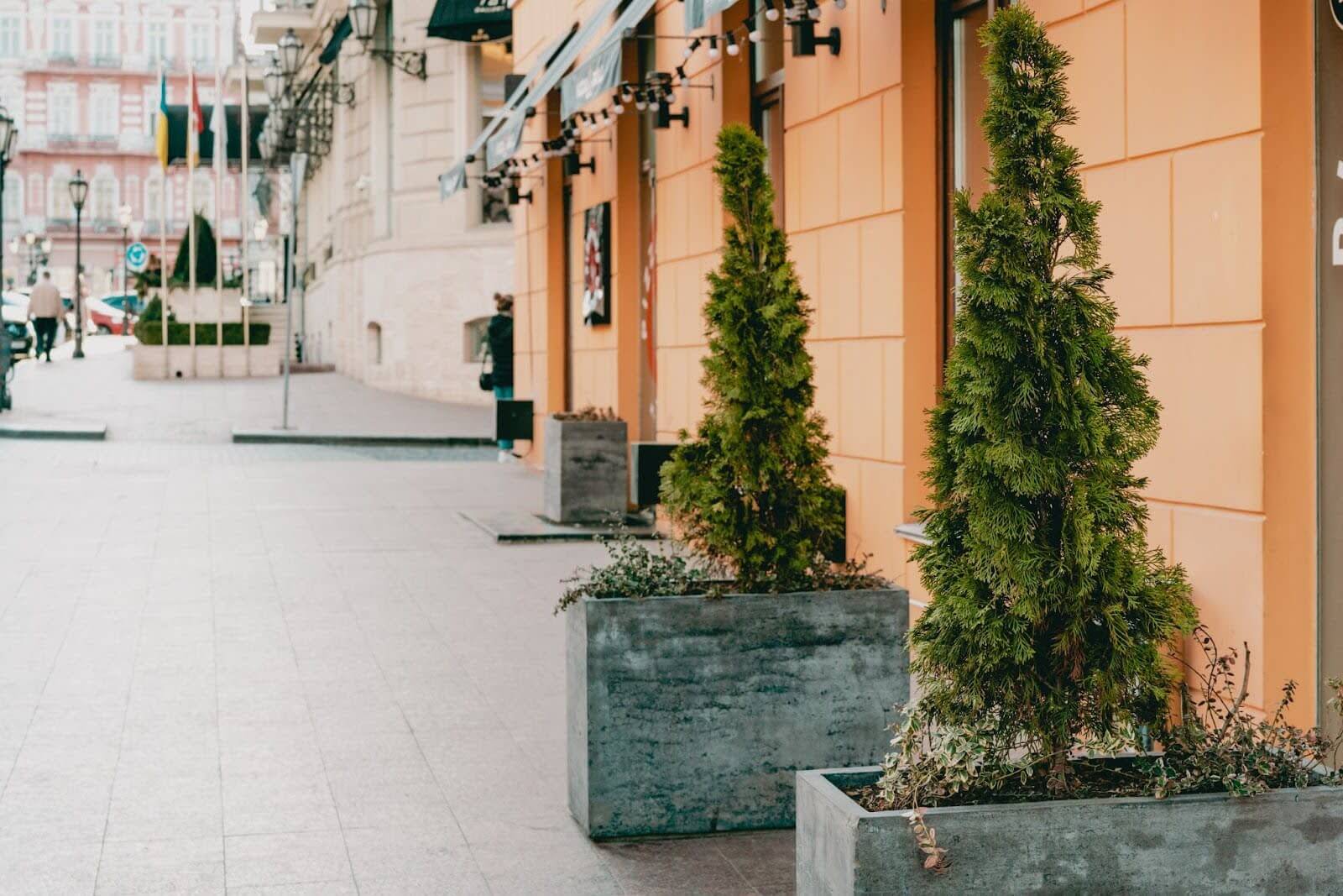 Architectural planters on the street 