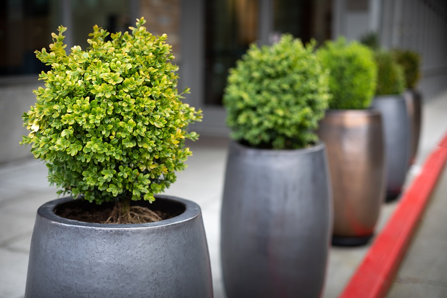 Row of outdoor planters in front of a building