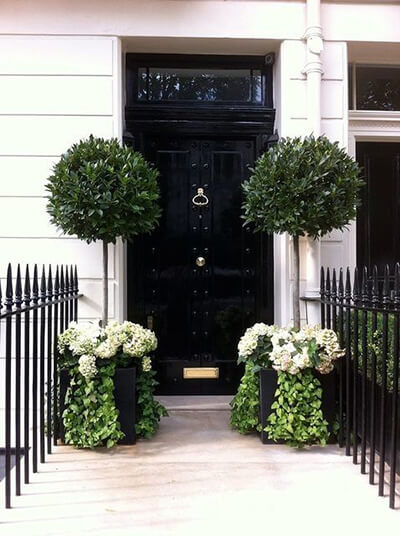 planters to elevate entranceway aesthetic