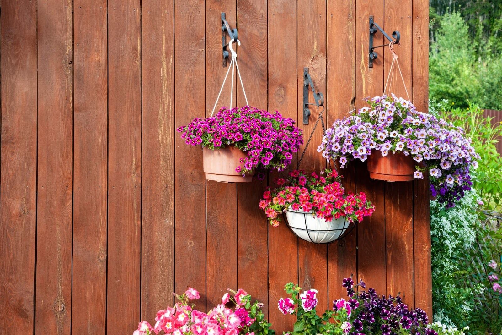 Hanging Baskets