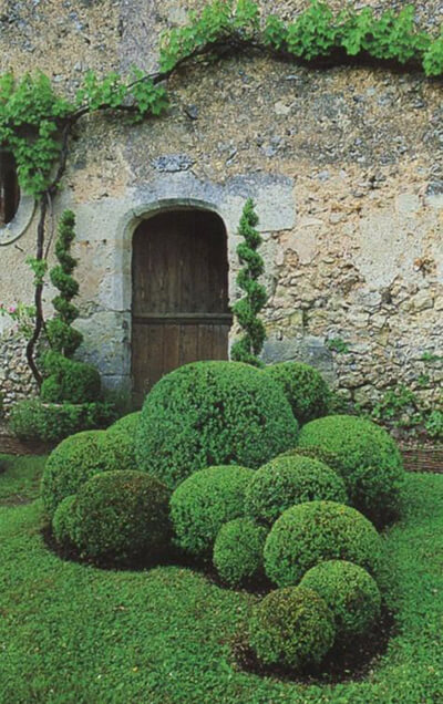 Boxwood Planters to Accentuate Entrances