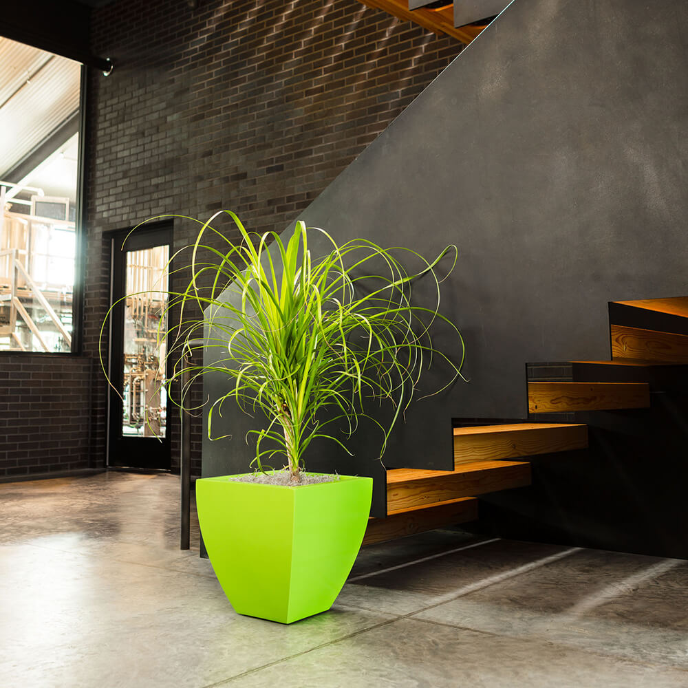 Lima Tapered Square Planter