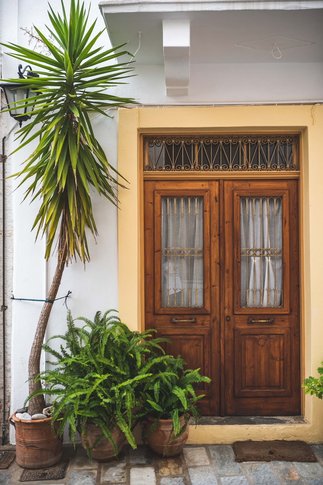 door with plants