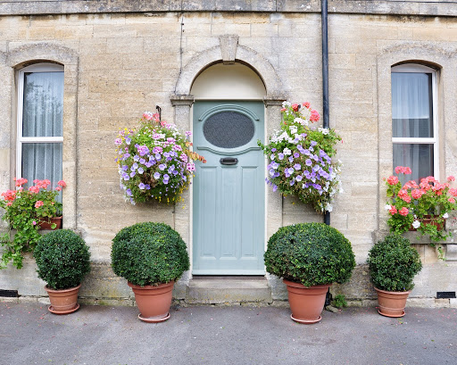 Front door deals trees in pots