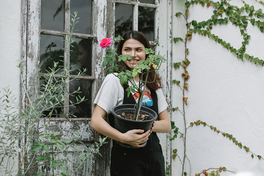 A woman holding a potted rose