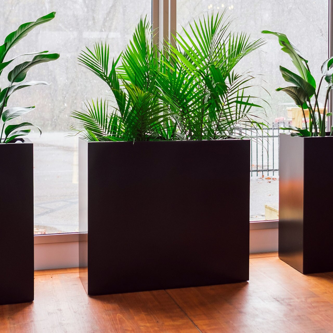 Best Indoor Pots and Planters