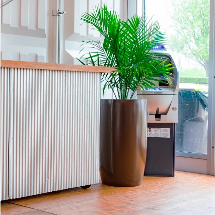 ! Large indoor planters