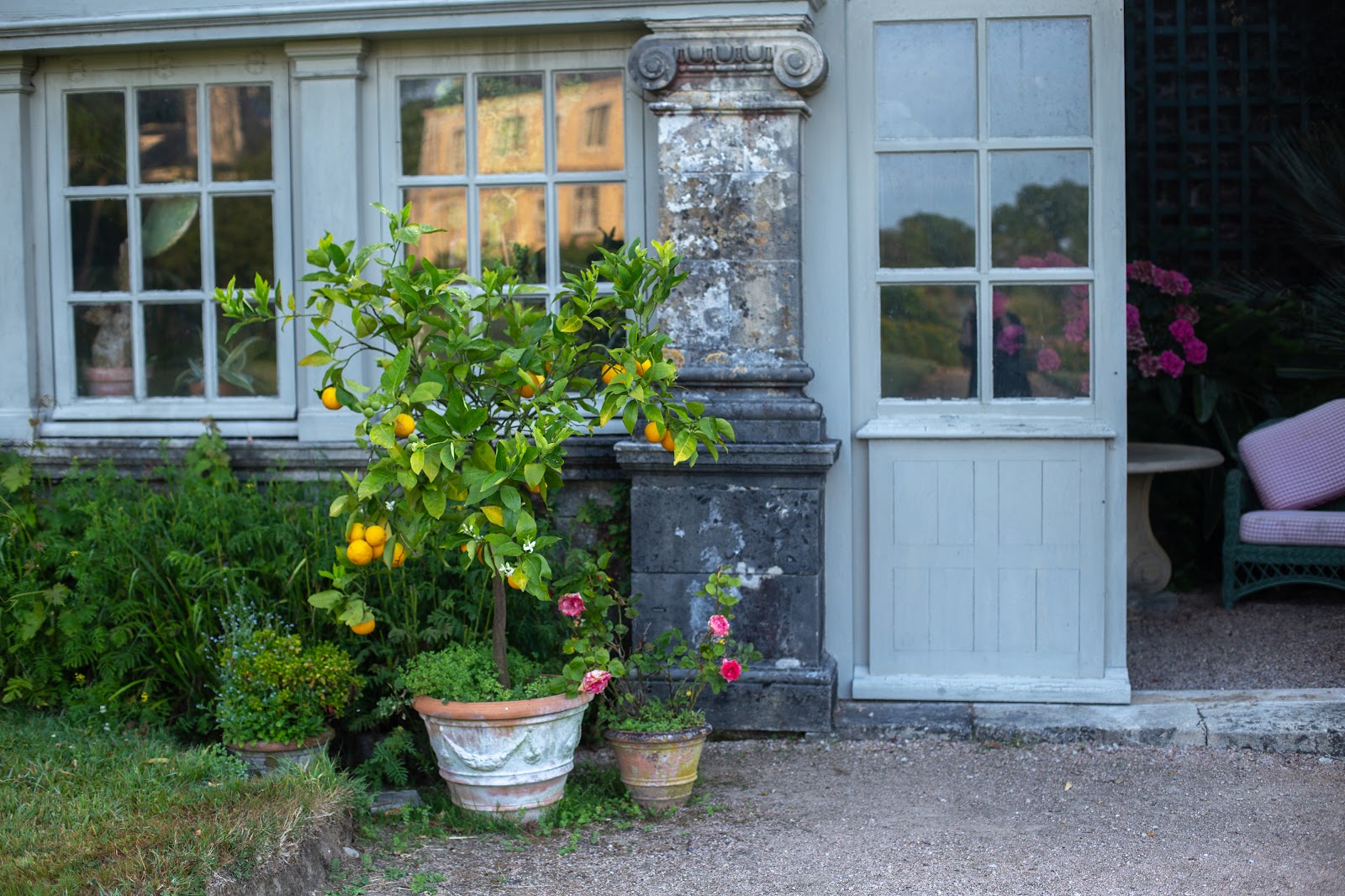 ceramic planter