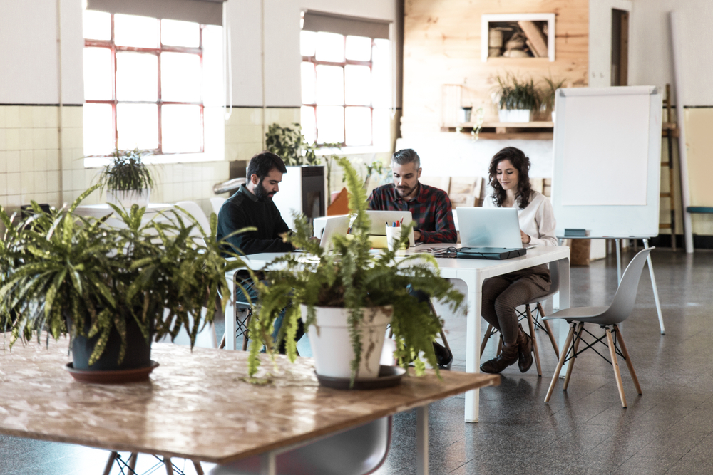 plants in the workplace