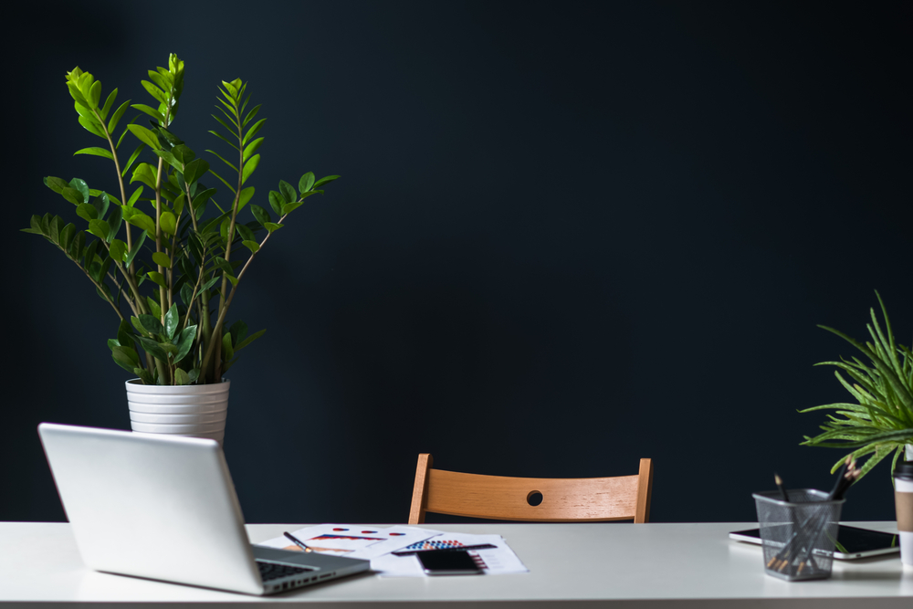 laptop with plants