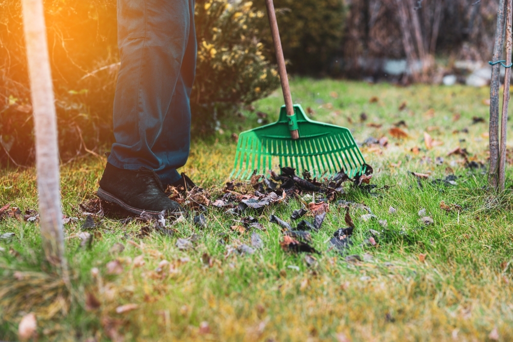 Spring Maintenance Checklist - rake leaves