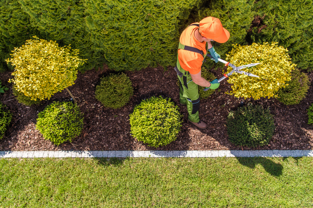 Spring Maintenance Checklist = weed