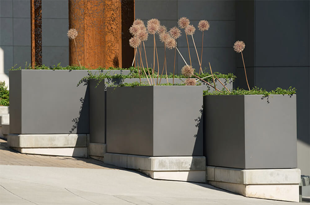 Best Square Planters For Rooftop