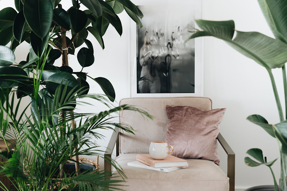 An indoor space adorned with numerous potted plants