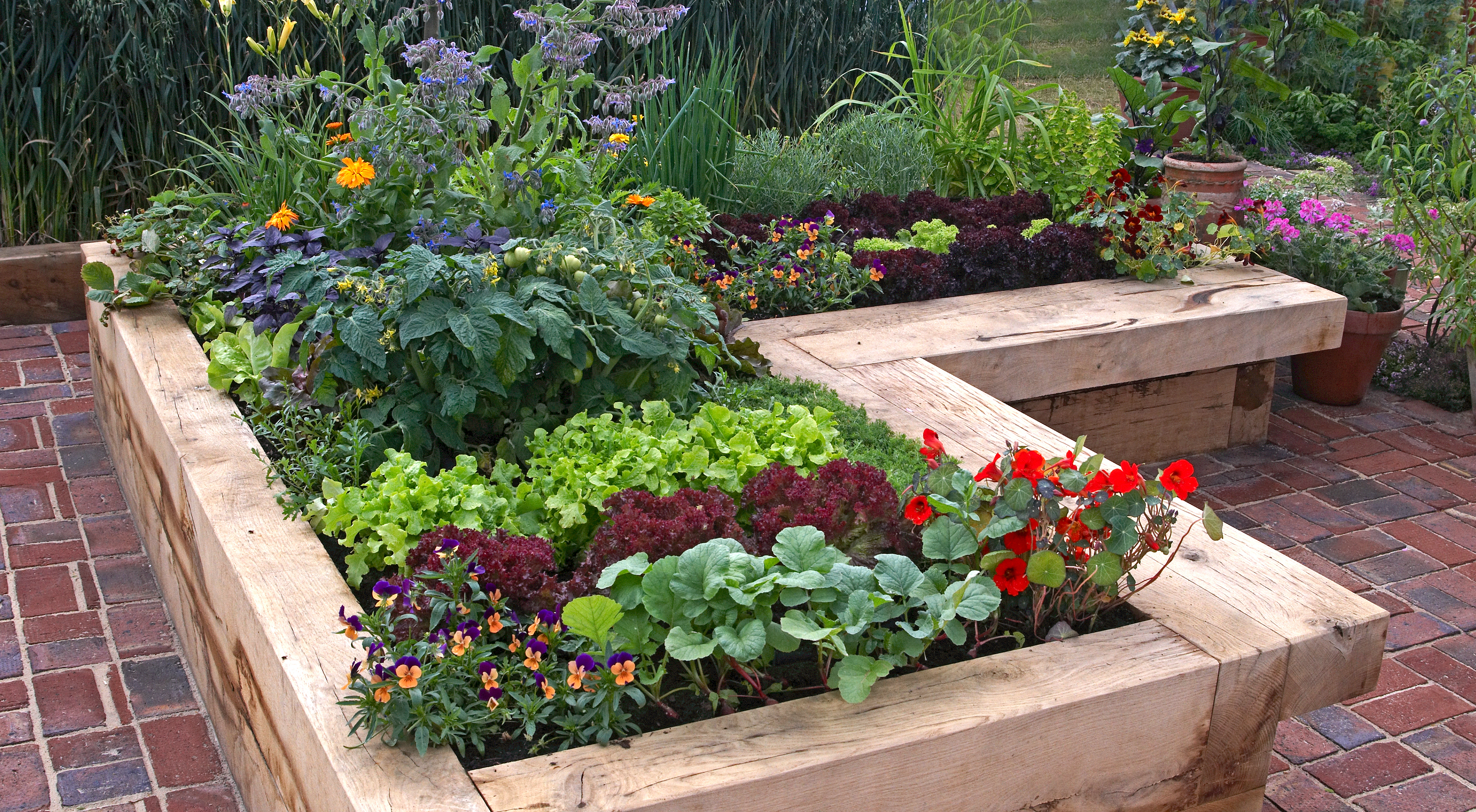 Tips and Tricks for Growing Plants in Containers