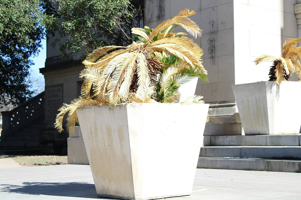 Palm Tree Planter