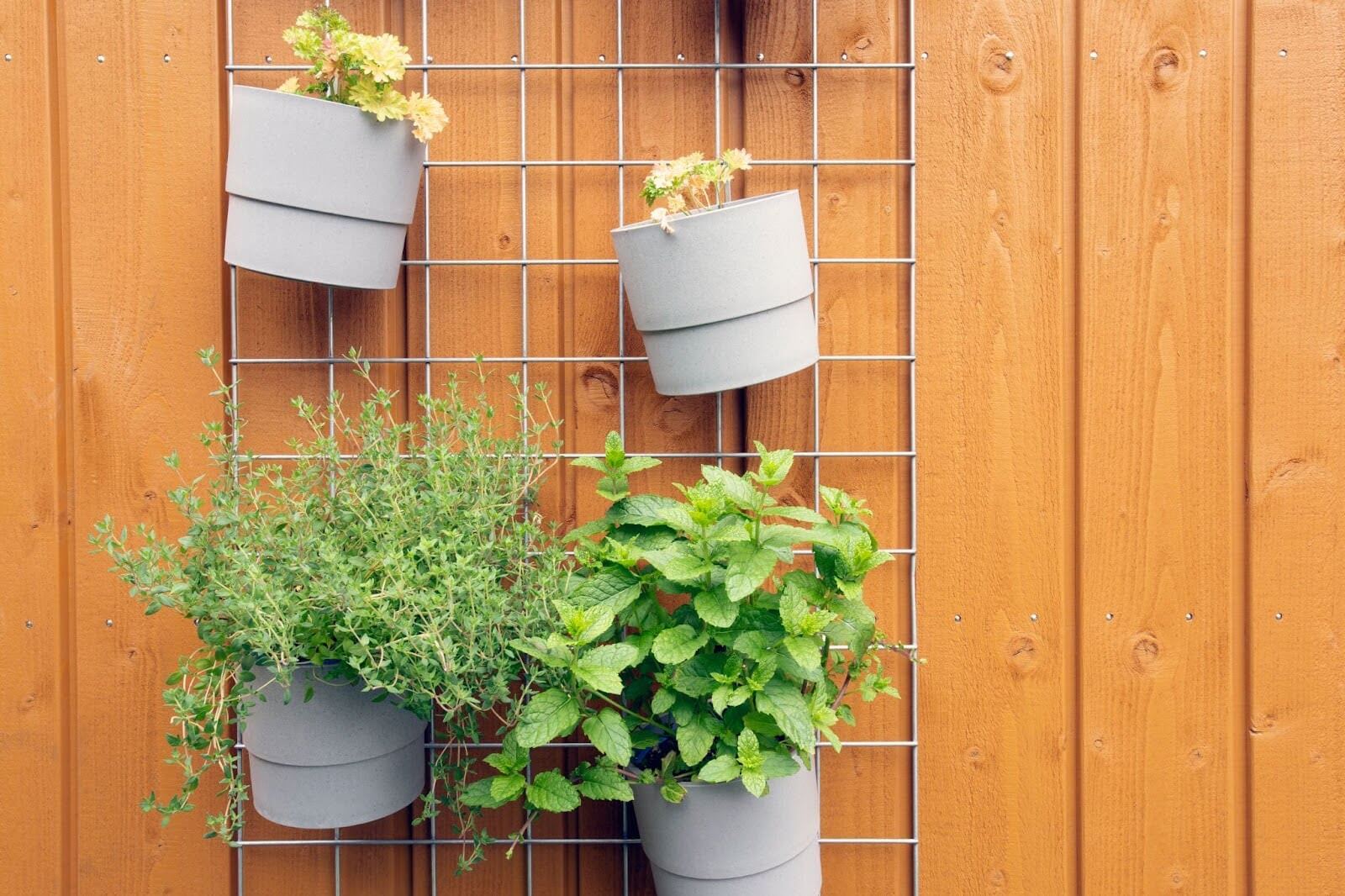 Pots on Wall