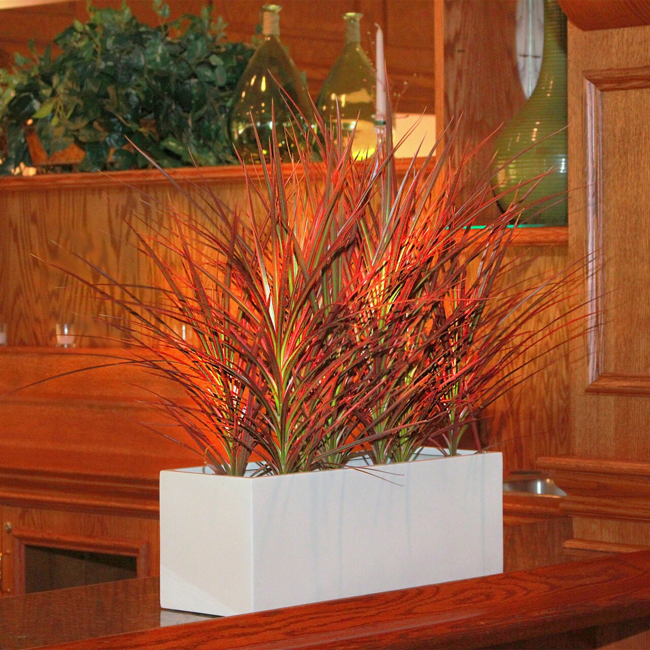 Tips for Using Plants as Part of Your Commercial Space - Pots Planters &  More